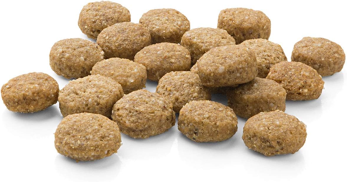 MERA pure sensitive Junior Turkey and Rice Puppy Food, Dry Food for the Daily Nutrition of Nutritionally Sensitive Puppies - Image 3