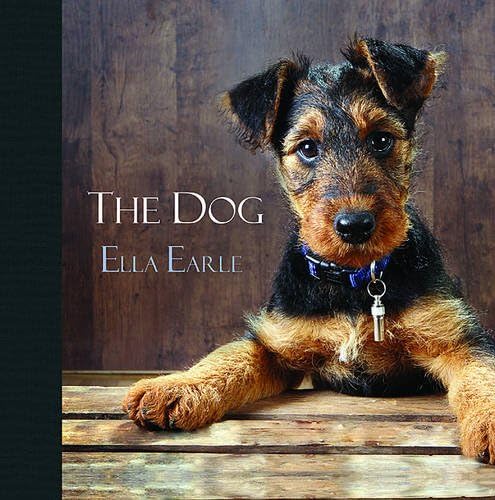 The Dog Hardcover – April 1, 2012