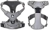 Truelove TLH5651 Dog Harness No-Pull Reflective Stitching Gray Large view 4