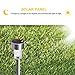 SUNNEST 12Pack Solar Lights Outdoor, Outdoor Garden Lights, Solar Pathway Lights, Outdoor Landscape Lighting for Lawn/Patio/Yard/Walkway/Driveway ST-3493 (Stainless Steel)