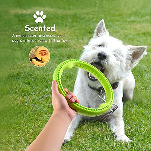 Fluffy Paws 9.7" Soft Durable Rubber Ring Dental Chewing Biting Chasing Training Toy, Green