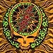 Sunshine Joy Grateful Dead 3D Steal Your Face & Roses Tapestry Tablecloth Wall Art Beach Sheet Huge 60x90 Inches - Amazing 3D Effects
