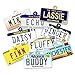 License Plate Custom Dog Tags for Pets - Personalized Pet ID Tags - Available For All 50 States - Dog Tags For Dogs - Dog ID Tag - Personalized Dog ID Tags - Cat ID Tags - With Pet Photo