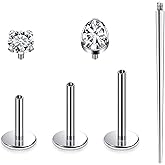 Ruifan Titanium Flat Back Lip Rings Internally Threaded Earrings Studs Nose Rings 16G Drop Flower Start Leaf Tragus Cartilage Lobe Rook Helix Conch Labret Medusa Piercing Jewelry for Women Men