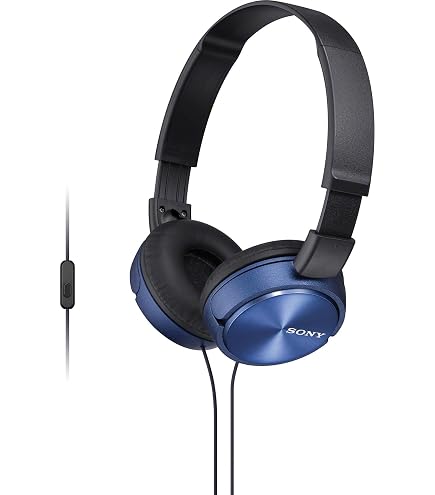 Sony MDRZX100/BLK Outdoor Headphones : Amazon.ca: Electronics