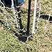 Premier 1 PoultryNet® 48
