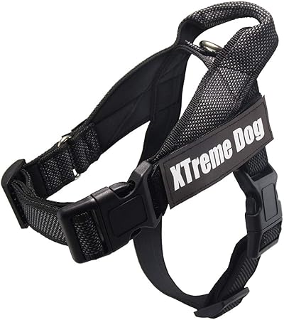 xtreme dog harness