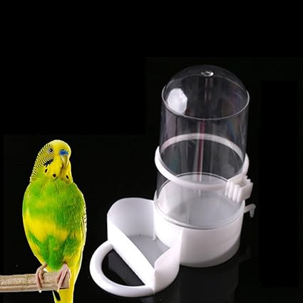 Amazon Com Coscosx 1 Pc Bird Pet Automatic Drinker Feeder Small
