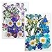 Set of 4 Packets Real Pressed Flowers Includes 2 DIY Flowers Wooden Bookmarks and 2 Dry Flowers Materials for Make Art & Craft (Purple and Blue)