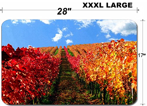 Luxlady Large Table Mat Non-Slip Natural Rubber Desk Pads IMAGE ID: 23484298 Terrano wineyard in autumn colors red orange yellow Carst region