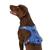 KONG Ultra Durable Waste Bag Harness