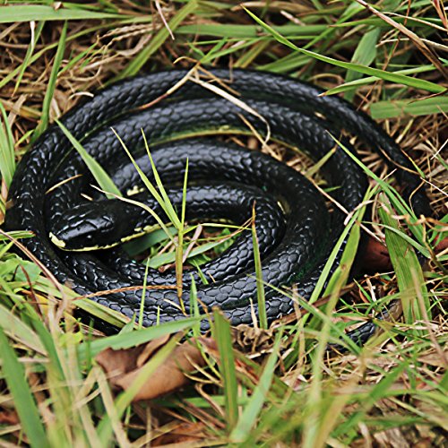 5 Halloween+Party+Realistic+Rubber+Garden