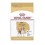 Royal Canin Beagle Adult Dry Dog Food, 30 lb bag