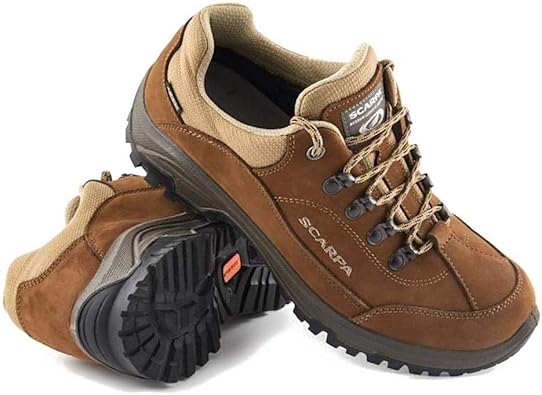 womens gore tex walking shoes