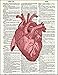 Anatomical Human Heart in Red- Printed on Upcycled Vintage Dictionary Paper - 8