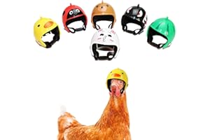 MEGANJDESIGNS Chicken Helmet 6 Pcs Elegant Hens Hats Adjustable Elastic Strap Funny Parrot Bird Safety Headwear Small Pet Hard Hat Costumes Accessories for Parakeet