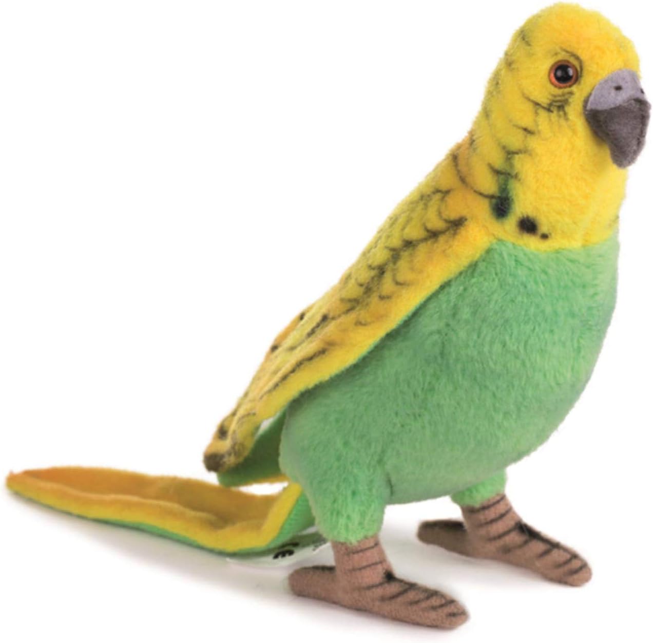 Budgerigar - 13cm