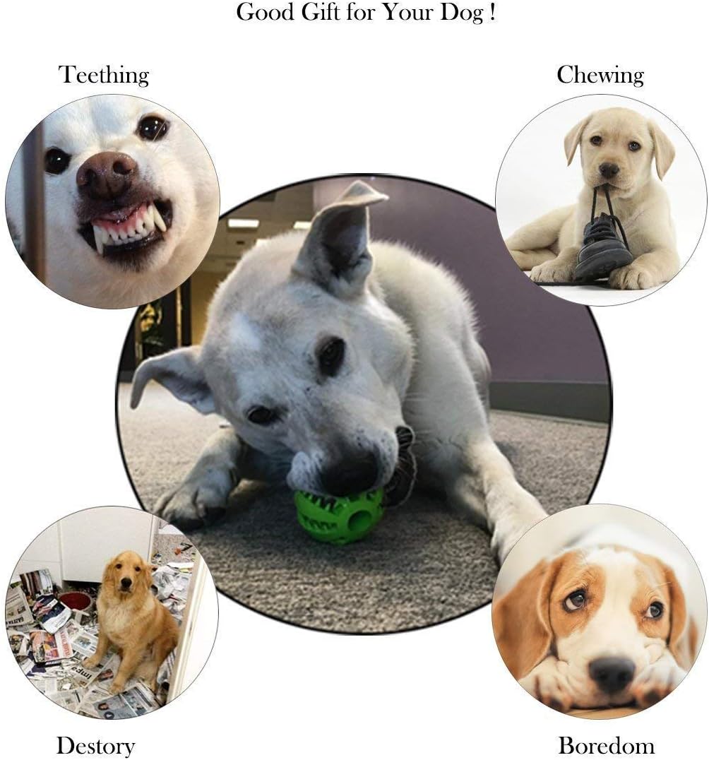 Pet Supplies : Bojafa Best Dog Teething Toys Ball Nontoxic Durable Dog IQ Puzzle Chew Toys for Puppy Small Large Dog Teeth Cleaning/Chewing/Playing/Treat Dispensing (2 Pack) : 