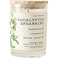 Leoben Co | B.B. Wellness | Hand Poured Soy Wax | Made in Small Batches | 40 Hours | 9 oz | Infused with Natural Essential Oils | Vegan (Eucalyptus Spearmint)