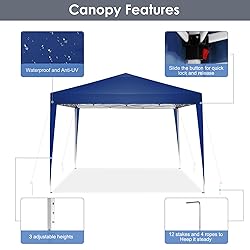 TOOLUCK 10x10 Pop Up Canopy Tent with 4 Sidewalls