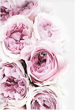 Amazon De Dragonaur Modernes Pfingstrosen Druck Rahmenlos Wand