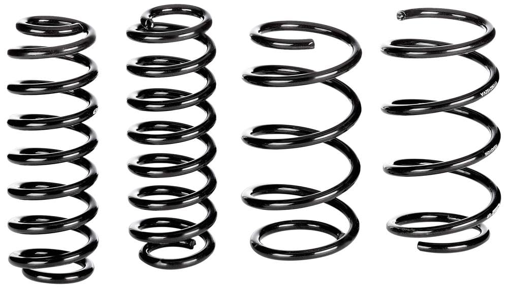 Eibach E10-15-021-02-22 Performance Pro-Kit Springs