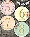 Newborn Baby Girl Gold Floral Milestone Stickers, 1st Year Belly Decals, Set of 12 Monthly Photo Props for Infant Onesie, Scrapbook Keepsake Shower Basket & Registry Gifts