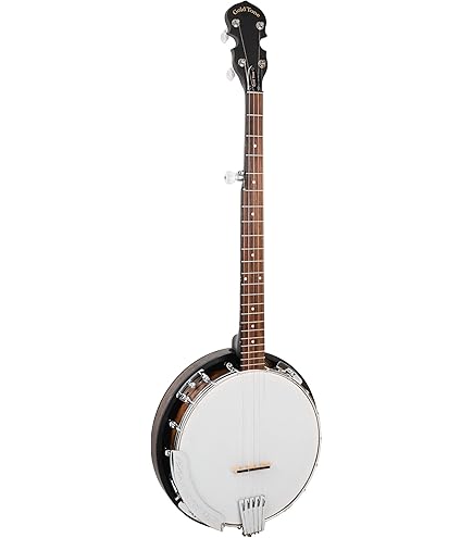 Amazon.com: Gold Tone BG-Mini Bluegrass Mini Banjo : Musical