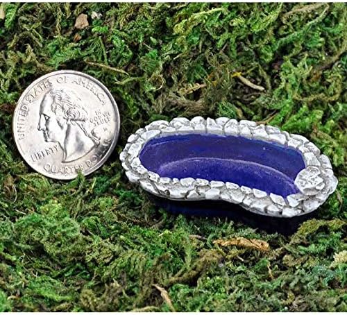 Fiddlehead Fairy Garden Micro Pond