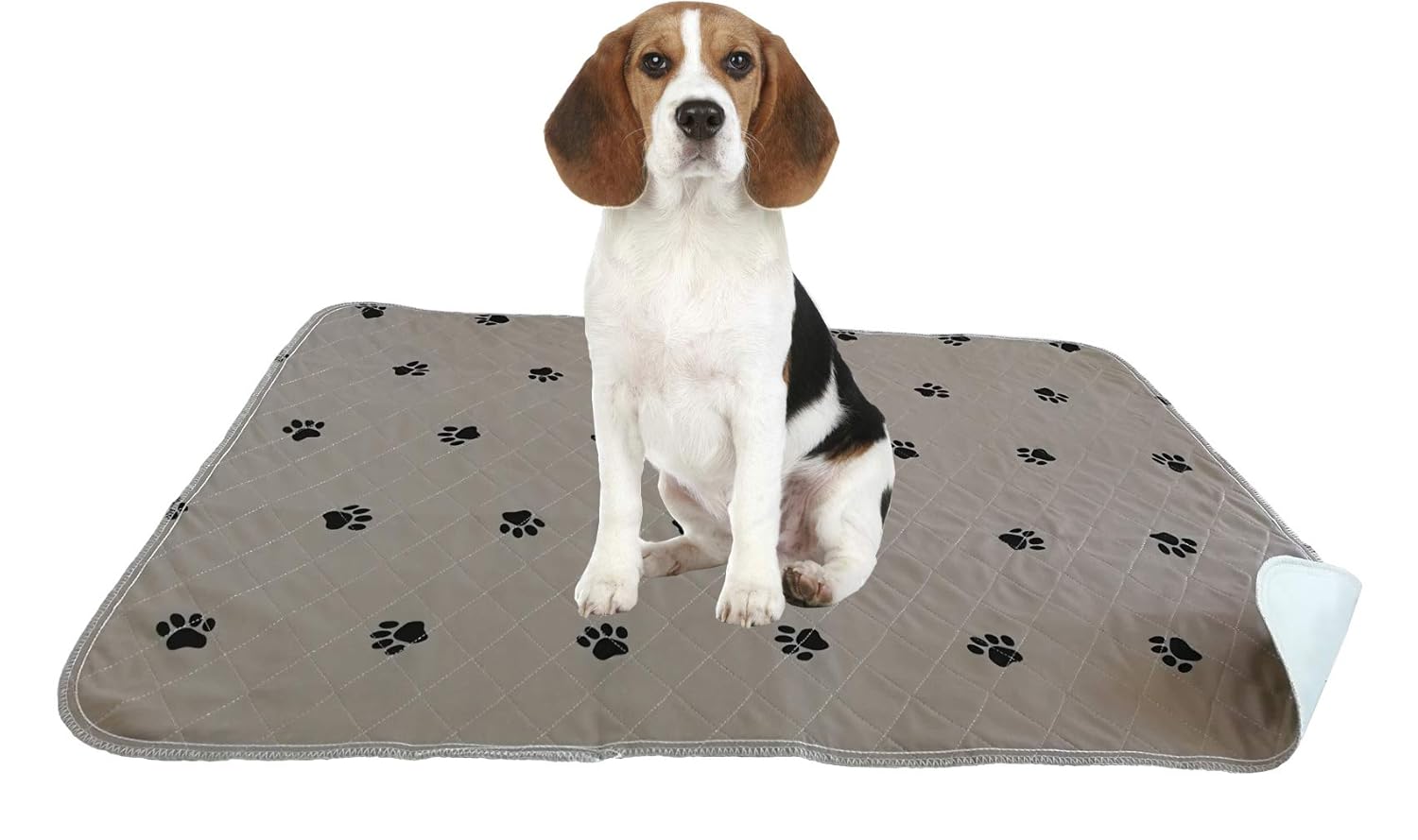 ZISU 2 Pack Washable Dog Training Pads Large Size 30x36 Puppy Pads