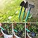 xderlin Garden Tools Set,12 Piece Gardening Gifts Stainless Stee Garden Tool Set with Storage case -Garden Gifts for Men & Women(12 Pieces-Green)thumb 3