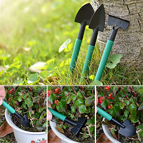 xderlin Garden Tools Set,12 Piece Gardening Gifts Stainless Stee Garden Tool Set with Storage case -Garden Gifts for Men & Women(12 Pieces-Green)