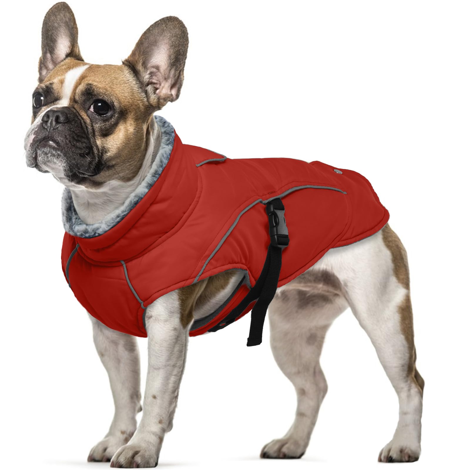 Small Dog Winter Coat, Fleece Winter Vest Warm Clothes for Cold Weather Cozy Jacket Small Dogs Heated Coat Snow Jacket with Fleece Lining(Red, S) — image 1