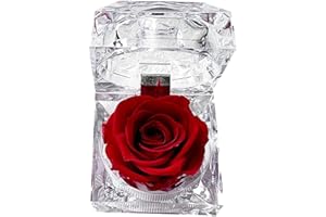 Preserved Rose in Clear Acrylic Jewelry Box – ForeverRose Gifts for Girlfriend, Wife, Mom | Romantic Keepsake Eternal Flower 