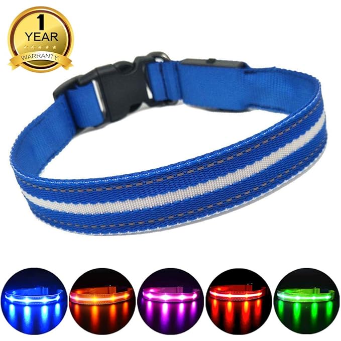 MASBRILL LED Dog Collar Light Blue Safety Led Light Up Dog Collar with