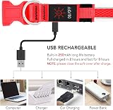 YFbrite Light Up Dog Collar Rechargeable LED Red Large view 4