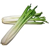 Lorigun Celery, Artificial Vegetables, Green Fake Vegetables for Decoration, Home Decor Market Display Kids Toy Kitchen Decoration Celery Stick 2Pcs