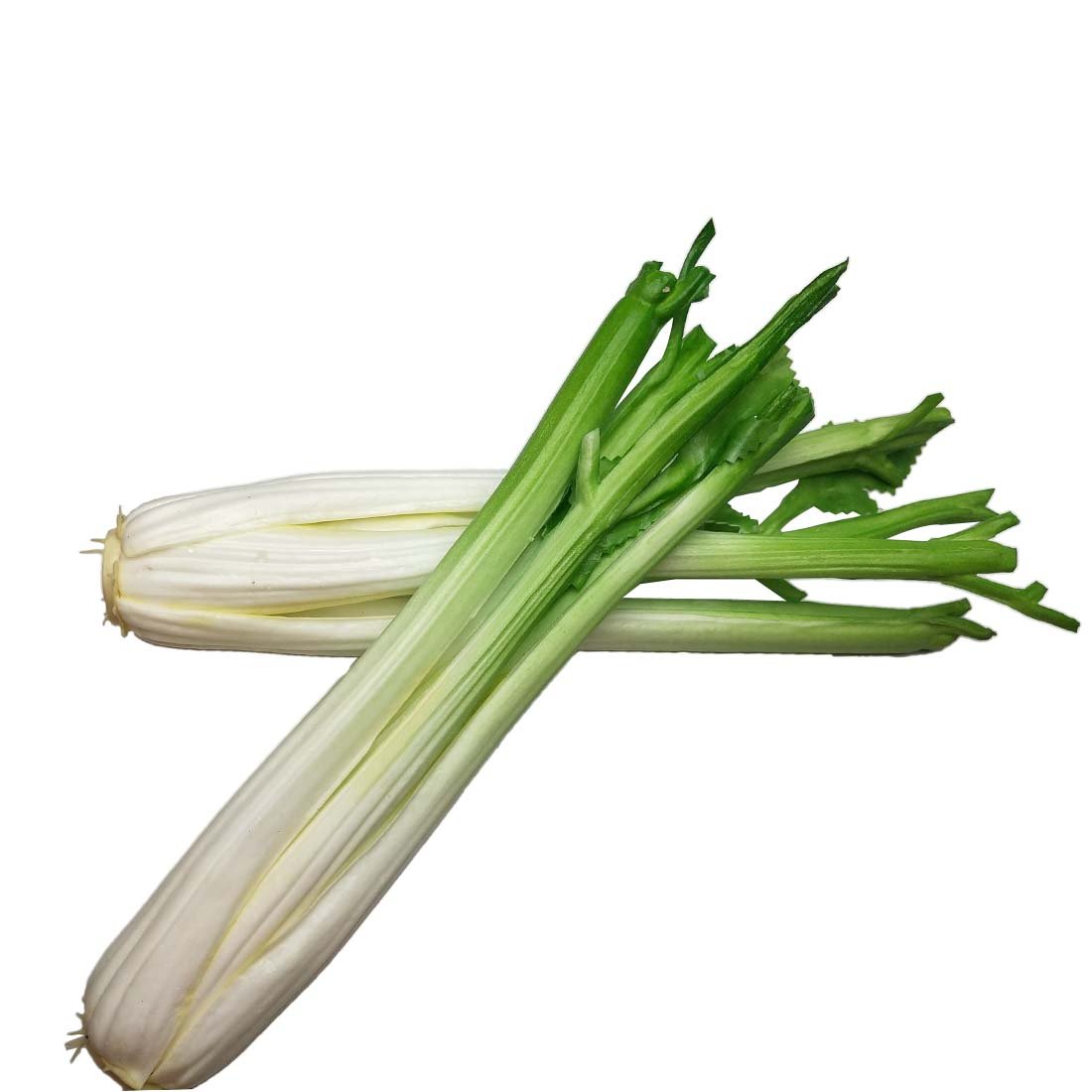 Lorigun Celery, Artificial Vegetables, Green Fake Vegetables For Decoration, Home Decor Market Display Kitchen Decoration Celery Stick 2Pcs