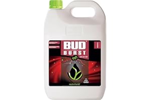 Nutrifield Bud Burst Plant Supplement 5 Liter Advance Flower Bud Formation Liquid Fertilizer Maximize Yield Quality - Kelp for Budding Flower Plant Food Garden Indoor Outdoor - 5 Liter Bottle