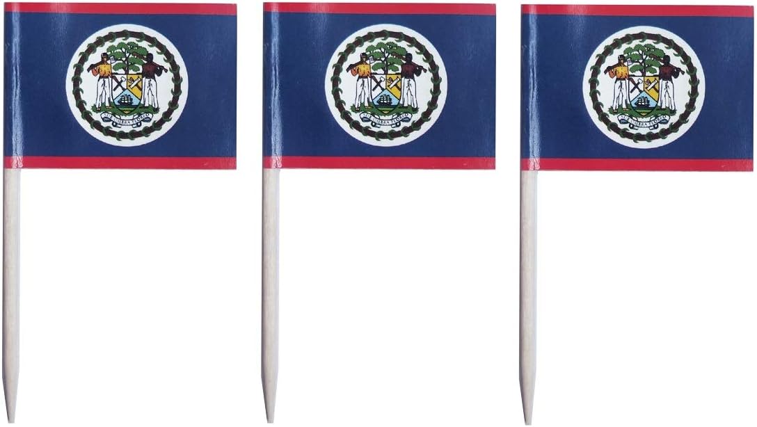 JAVD CYPS 100 Pcs Belize Flag Belizean Toothpick Flags, Small Mini Stick Cupcake Toppers Belizean Flags,Country Picks Party Decoration Celebration Cocktail Food Bar Cake Flags