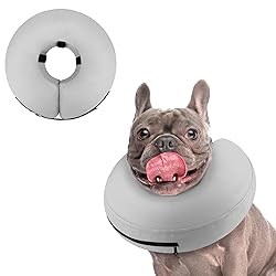 Supet Inflatable Dog Cone Collar for Large Medium