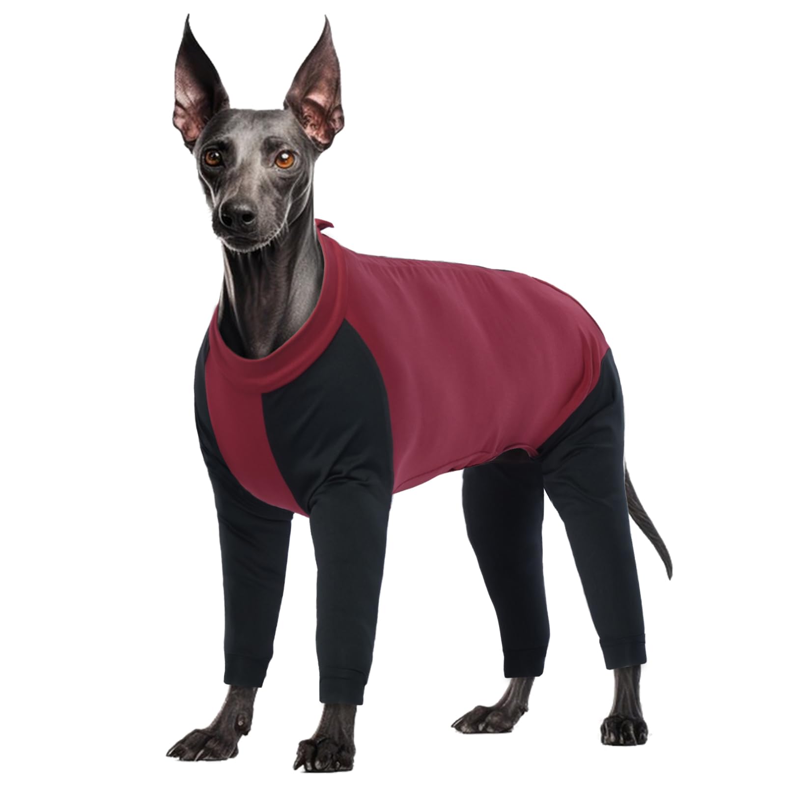 Dog Pullover, Dog Recovery Suit Long Sleeve(Red, L)
