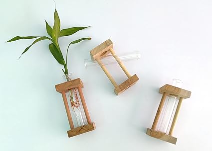 Alidhra Garden Nature Wood Single Planter Self Watering Pot With Stand, 6.5x2.5x2.5 Inch, 1 Pieces