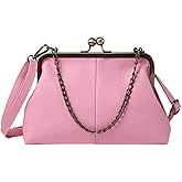 Lanpet Women Classical Kiss Lock Clutch with Chain Strap Shoulder Bag Purse Wallet