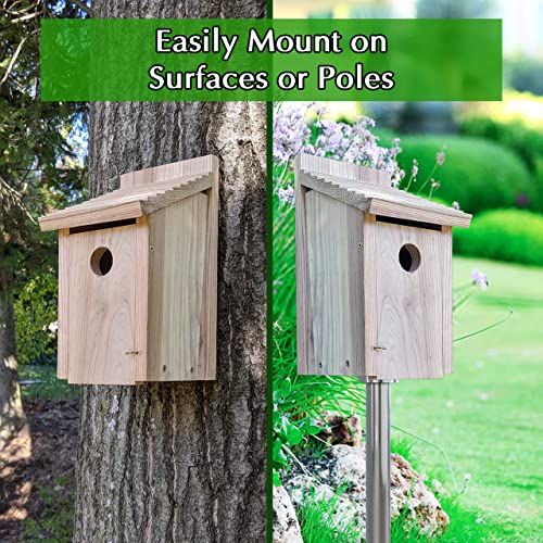 Wooden Bird House for Outside Bluebird Birdhouse for Outdoors for