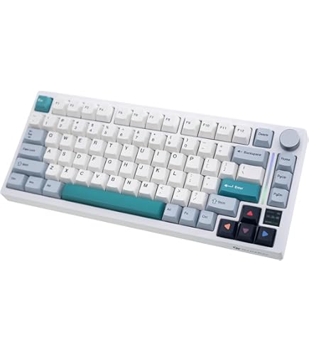 Amazon.com: Realforce Topre RC1 75% Bluetooth Keyboard (Topre