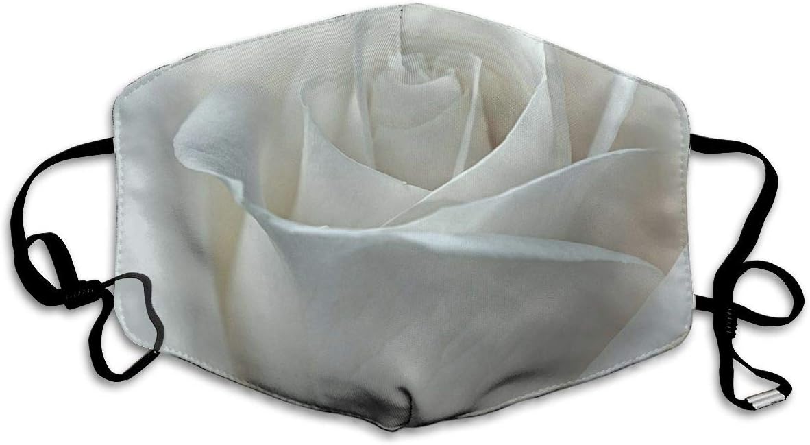 Fashion Face Cover Adjustable Elastic Band Hypoallergenic Face and Nose Cover for Pollen Smog Medical Climbing (Heavenly)