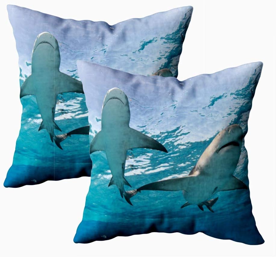 Best Sky Fiona Bedding