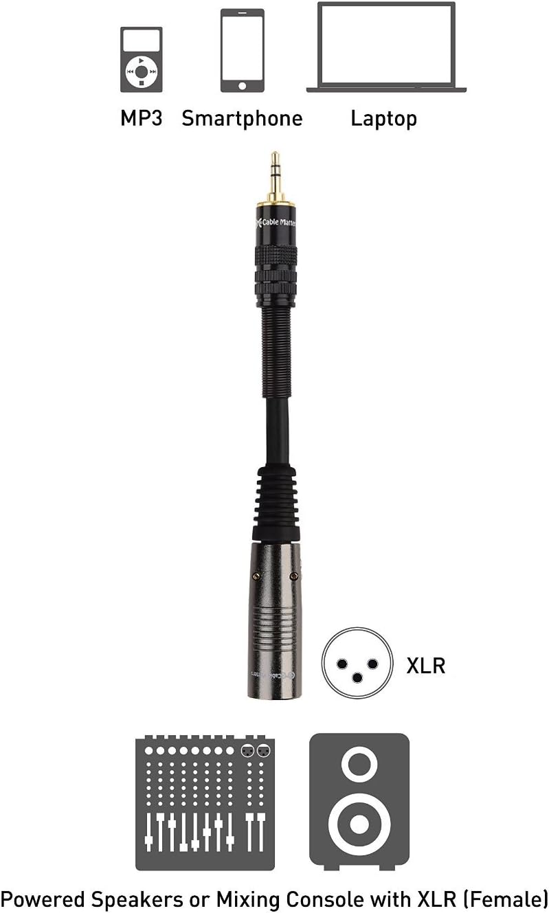 Cable Matters (1/8 Inch) 3.5mm to XLR Cable (XLR to 3.5mm Cable) Male to Male 6 Feet: Electronics