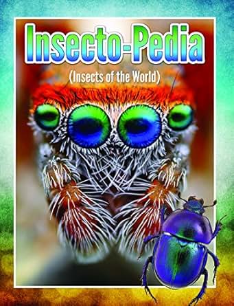 Insecto Pedia Insects Of The World Insects Spiders And